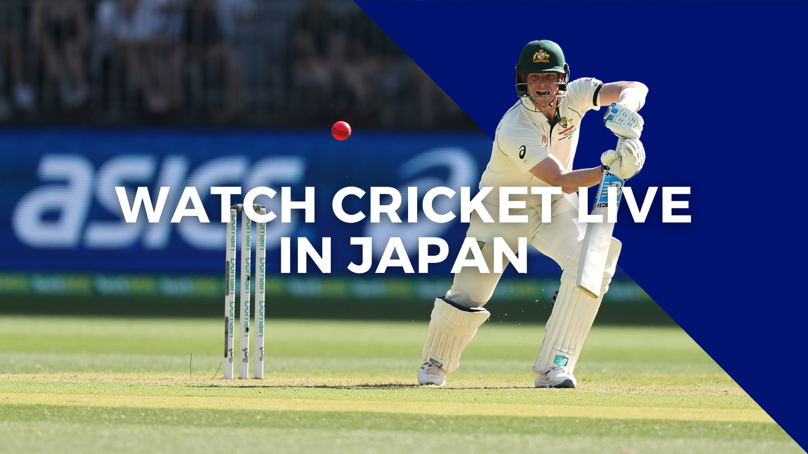 Japan Cricket Association Australia vs India Being Live-Streamed in Japan